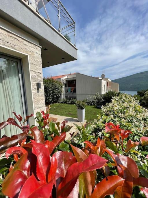 Acacia Hill Apartments Herceg Novi Eksteriør bilde