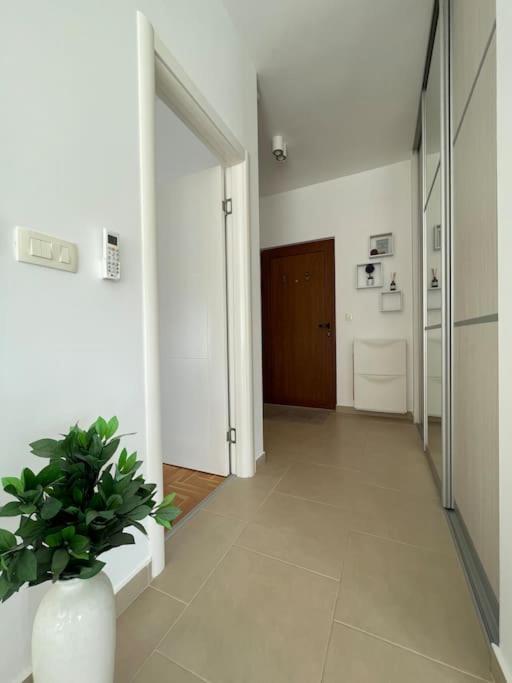 Acacia Hill Apartments Herceg Novi Eksteriør bilde
