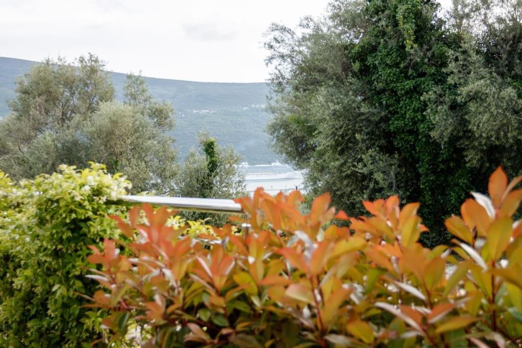 Acacia Hill Apartments Herceg Novi Eksteriør bilde